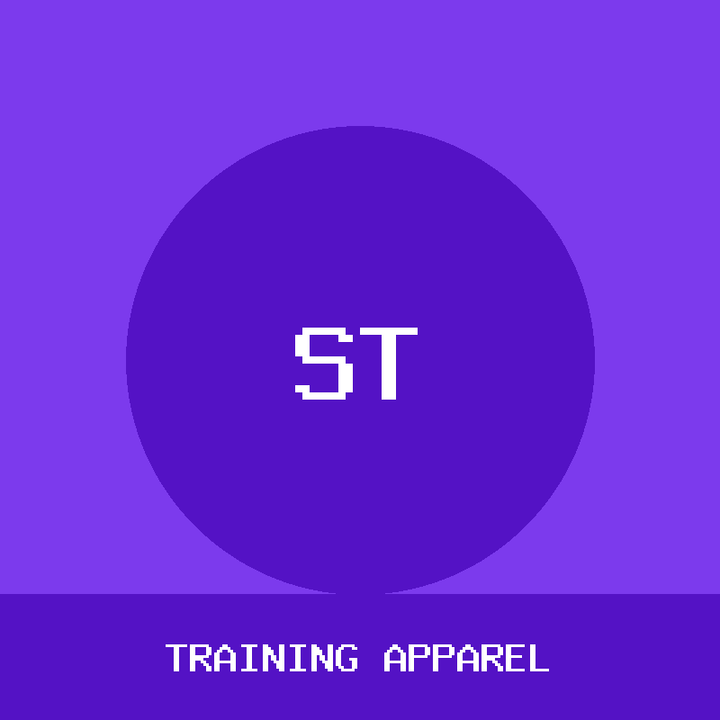Seamless Training Leggings