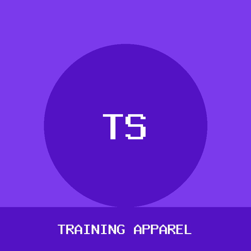Training Socks (3 pack)